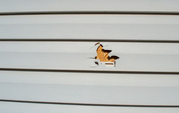 Cost of Siding Hole Repair in Tooele